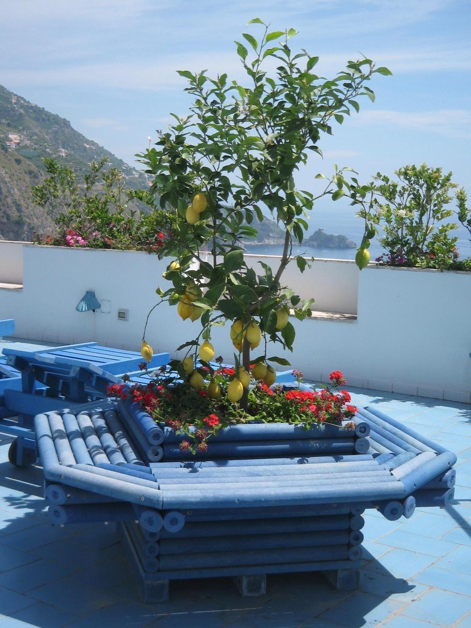 Hotel Holiday Praiano Exterior foto